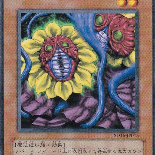 SD16-JP015-N
