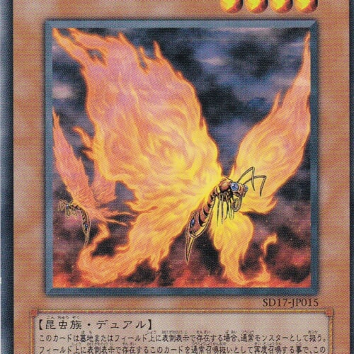 SD17-JP015-N