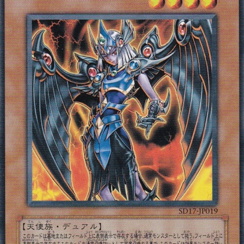 SD17-JP019-N