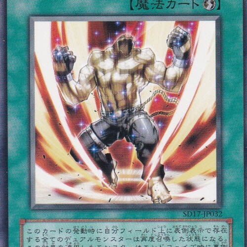 SD17-JP032-N