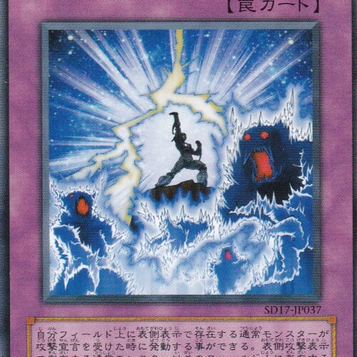 SD17-JP037-N