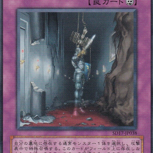 SD17-JP038-N