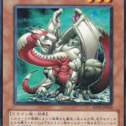 SD19-JP019-N