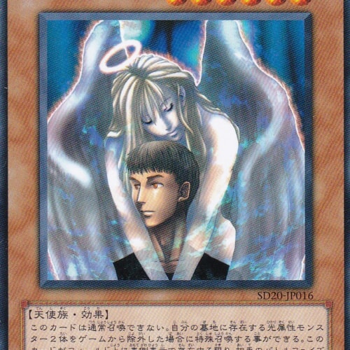SD20-JP016-N