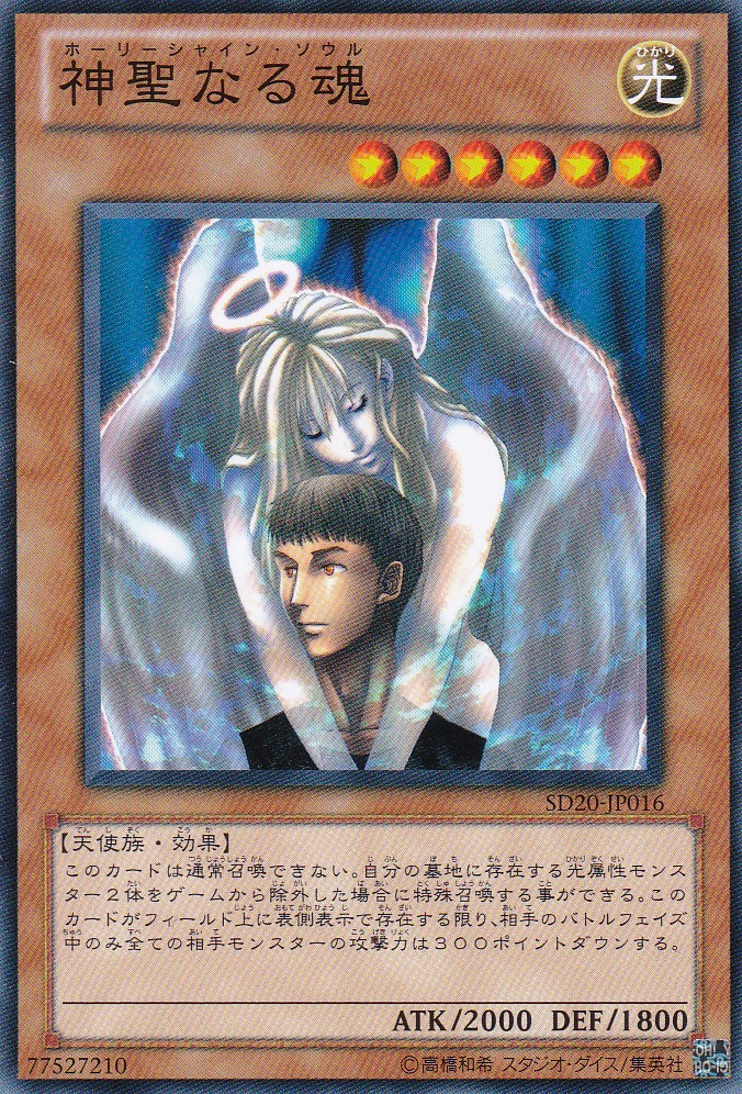 SD20-JP016-N