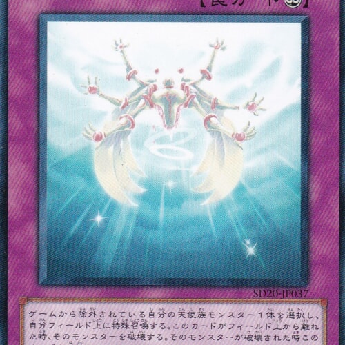 SD20-JP037-N