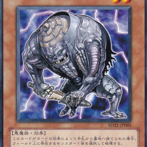 SD21-JP005-N