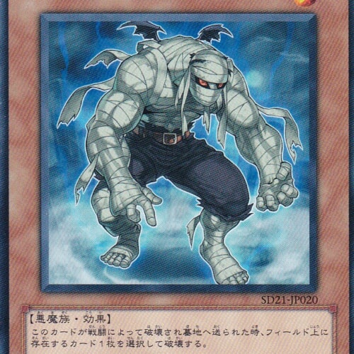 SD21-JP020-N