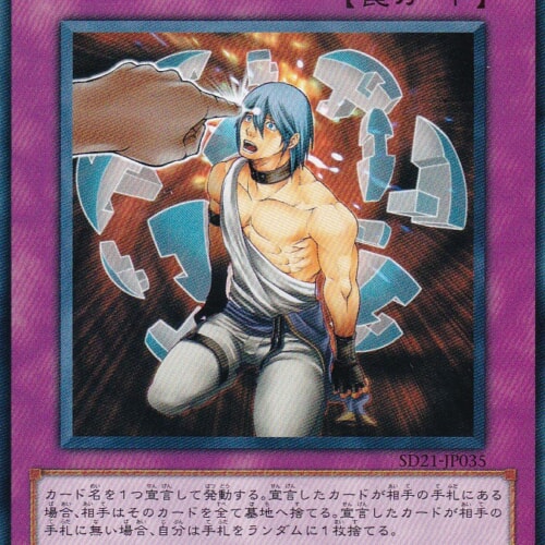 SD21-JP035-N