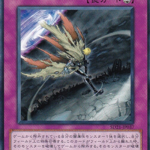 SD21-JP037-N