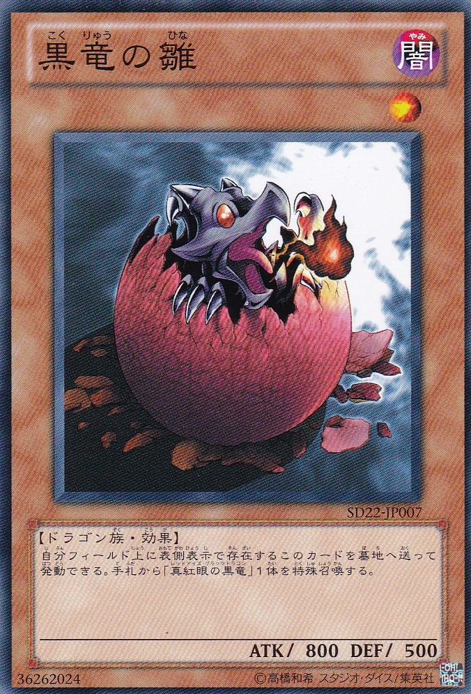 SD22-JP007-N