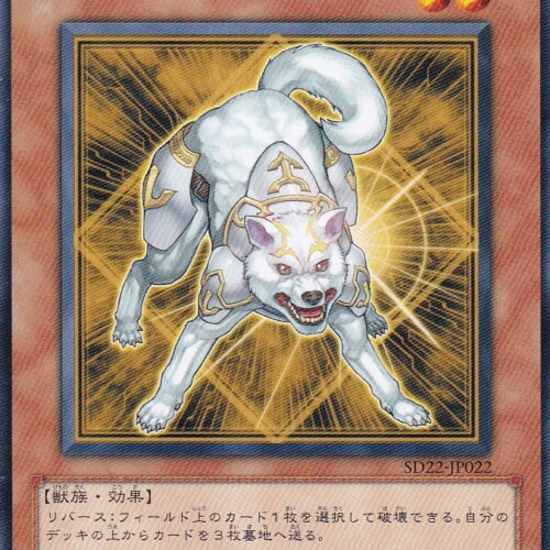 SD22-JP022-N
