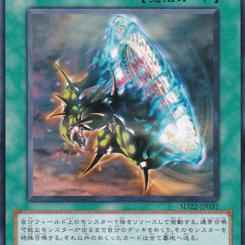 SD22-JP031-N