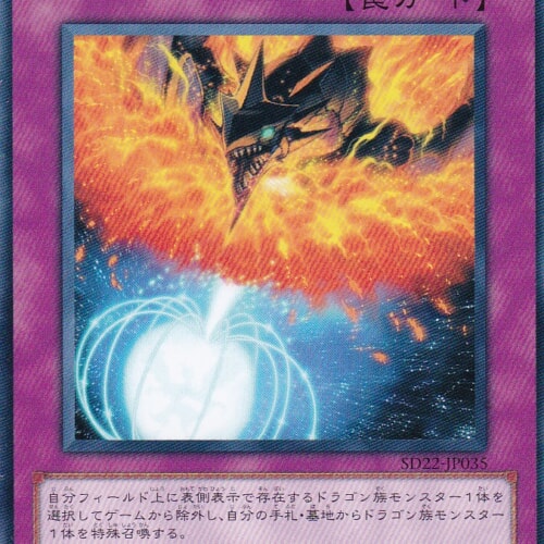 SD22-JP035-N
