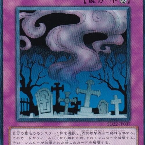 SD22-JP037-N