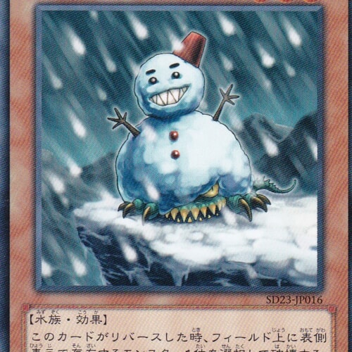 SD23-JP016-N