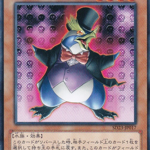 SD23-JP017-N