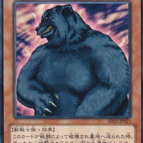 SD23-JP021-N