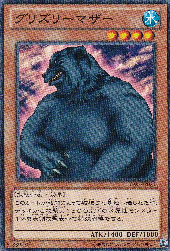 SD23-JP021-N