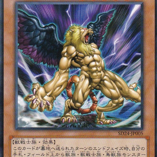 SD24-JP005-N