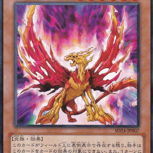 SD24-JP007-N