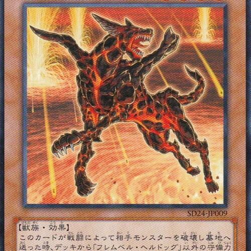 SD24-JP009-N