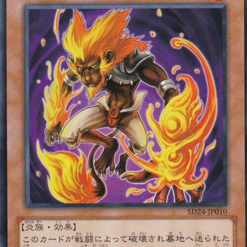 SD24-JP010-N