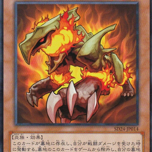 SD24-JP014-N