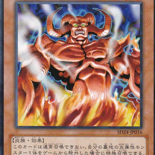SD24-JP016-N