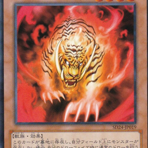 SD24-JP019-N