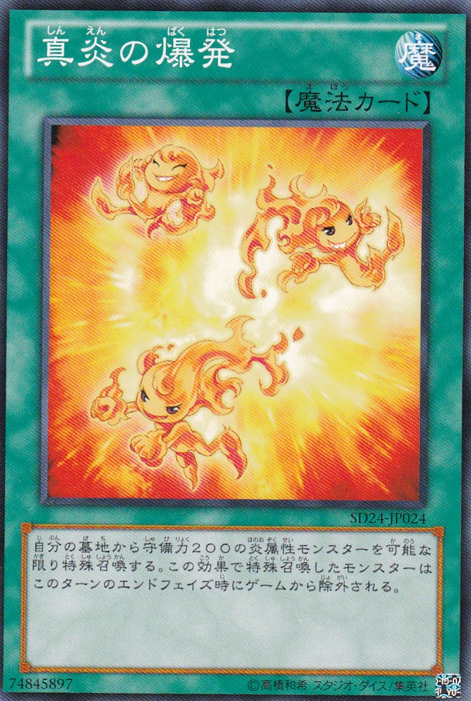 SD24-JP024-N