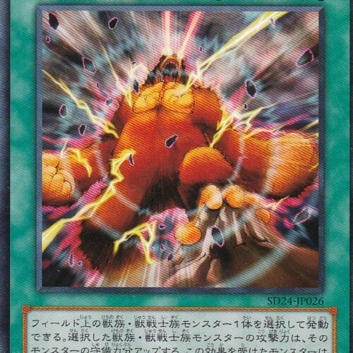 SD24-JP026-N