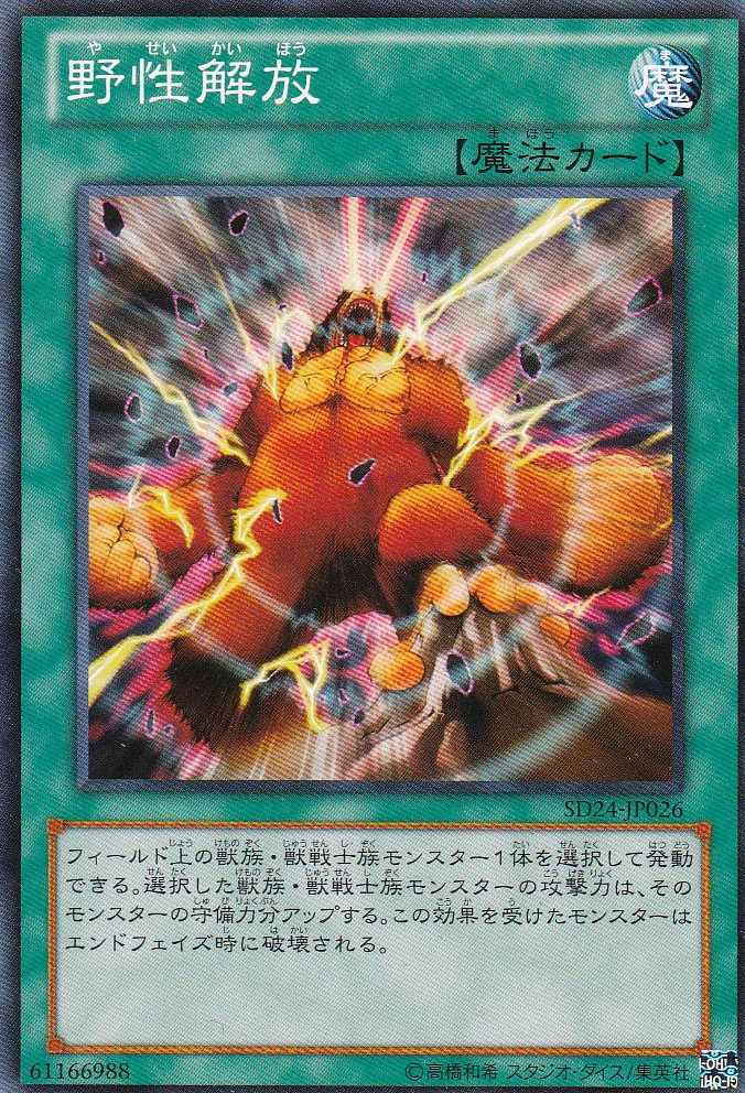 SD24-JP026-N
