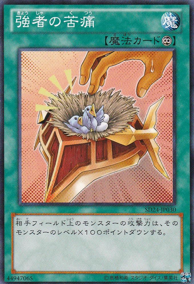 SD24-JP030-N