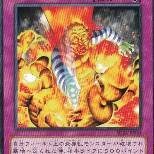 SD24-JP031-N