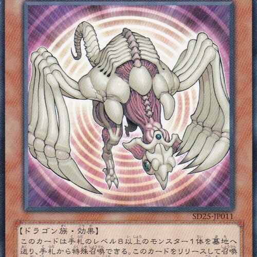 SD25-JP011-N