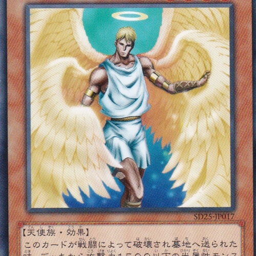 SD25-JP017-N