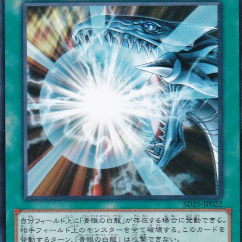 SD25-JP022-N