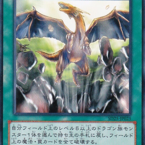 SD25-JP025-N