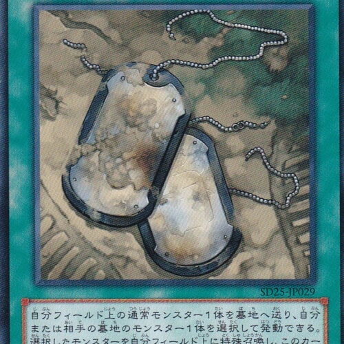 SD25-JP029-N
