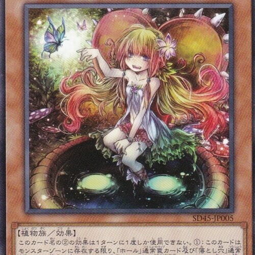 SD45-JP005-N