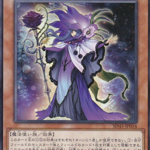 SD45-JP016-N